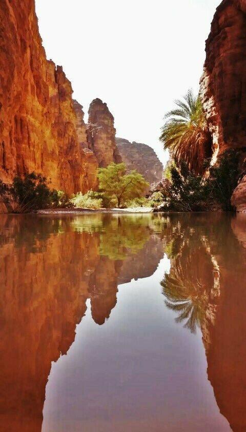 Tassili n'Ajjer, une saison bien entamée....!