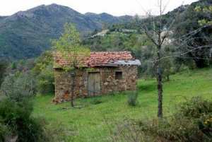 AMALOU SIDI AHMED BEN YAHIA (amalou sidi yahia)