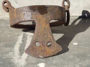 AMALOU SIDI AHMED BEN YAHIA (amalou sidi yahia)