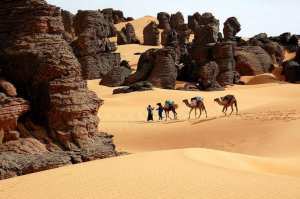 Clôture du Salon du tourisme et des voyages  #SITEV_ Alger... !