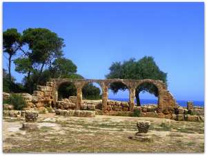 Tipaza nous raconte !