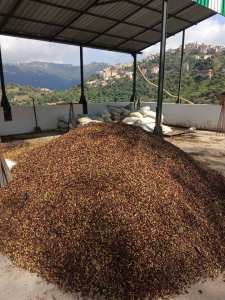 l'inauguration et de la mise en service de la nouvelle huilerie moderne à  Ait frah