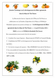 Journée technique sur le développement de filière agrumicole