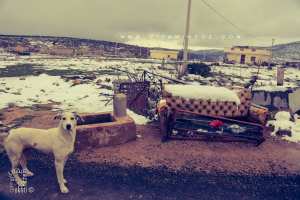 Douar au lieu dit  Stah  non loin de Mefrouche (Tlemcen)