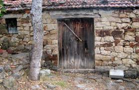 AMALOU SIDI AHMED BEN YAHIA (amalou sidi yahia)