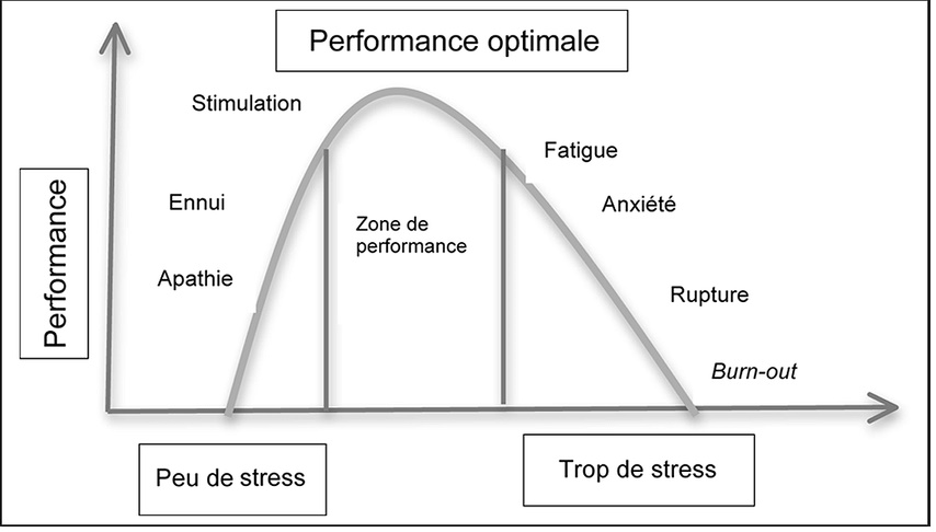 La loi de Yerkes-Dodson