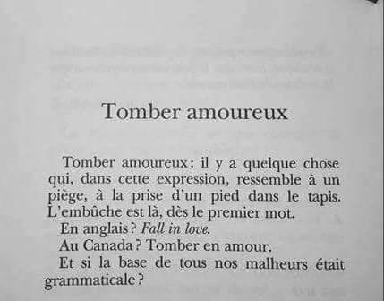 Je vous souhaite néanmoins d’y tomber 🌹