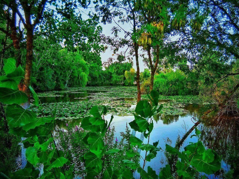 Bonjour, d'#El_Kala #Lac_Tonga #El_Taref..!