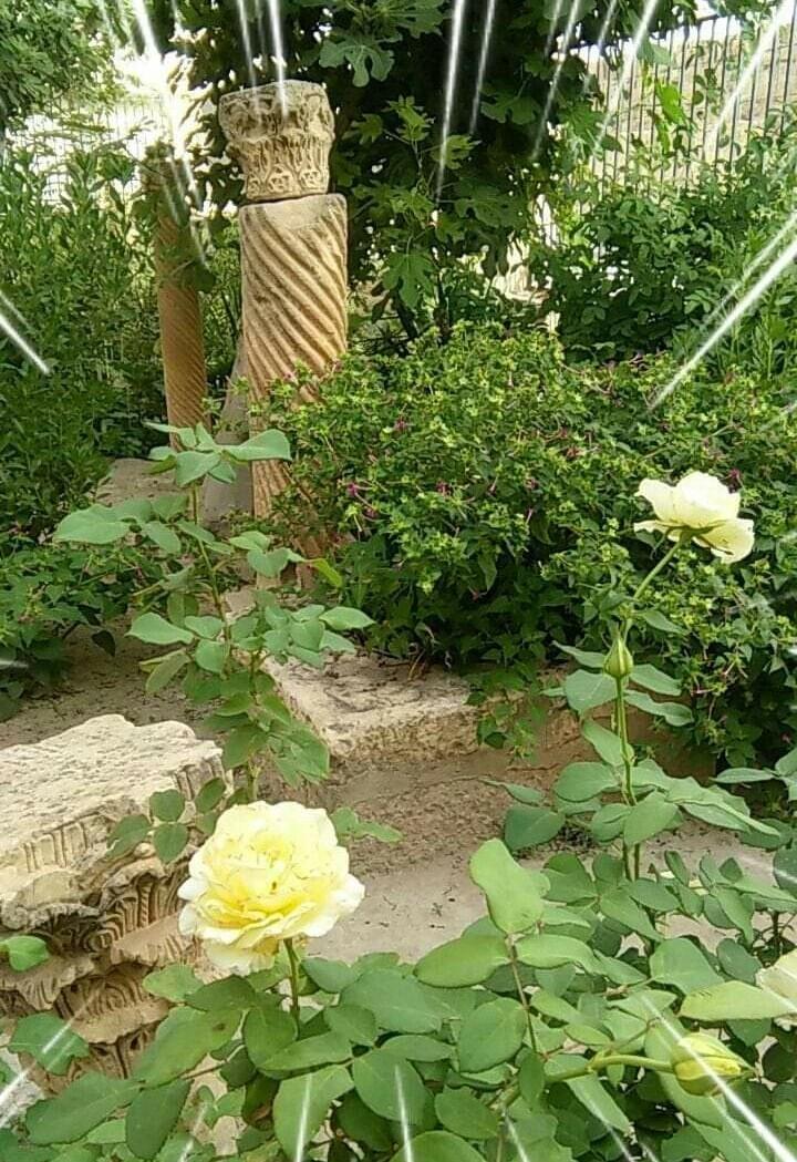 L'office National de Gestion et d'Exploitation des Biens Culturels, Tebéssa.