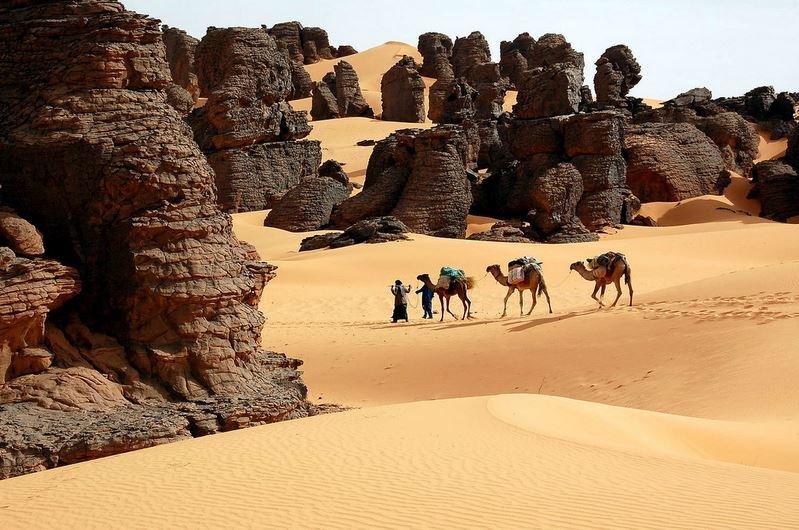 Clôture du Salon du tourisme et des voyages  #SITEV_ Alger... !