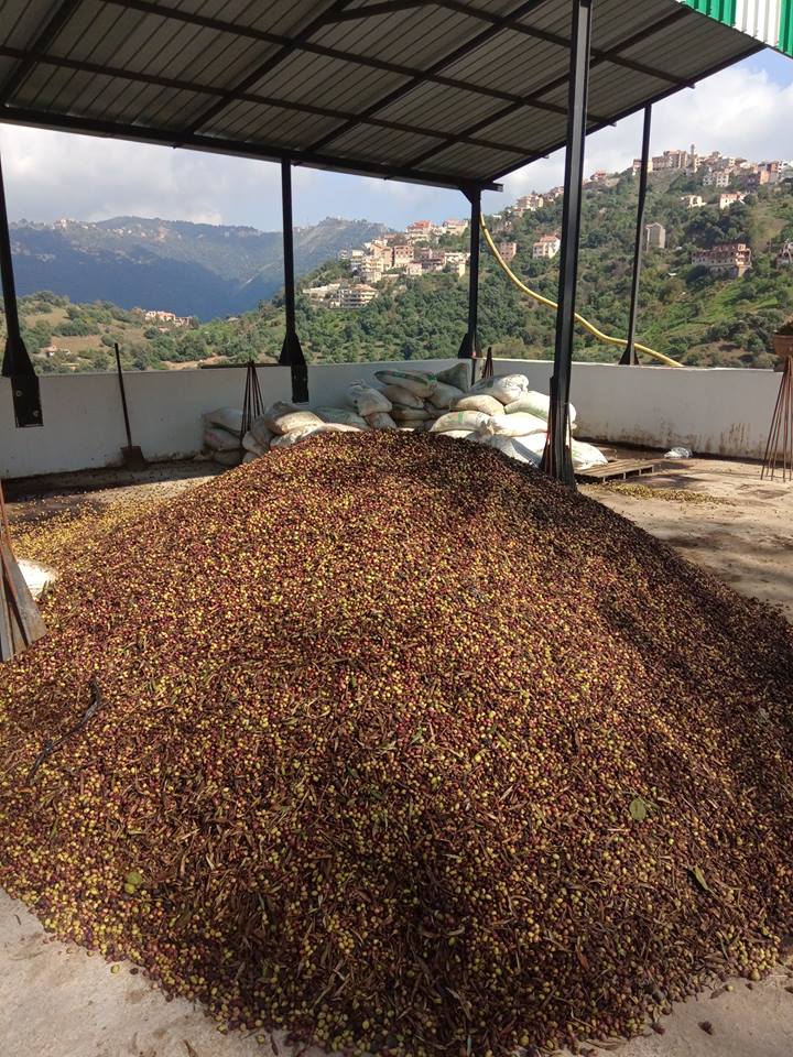 l'inauguration et de la mise en service de la nouvelle huilerie moderne à  Ait frah
