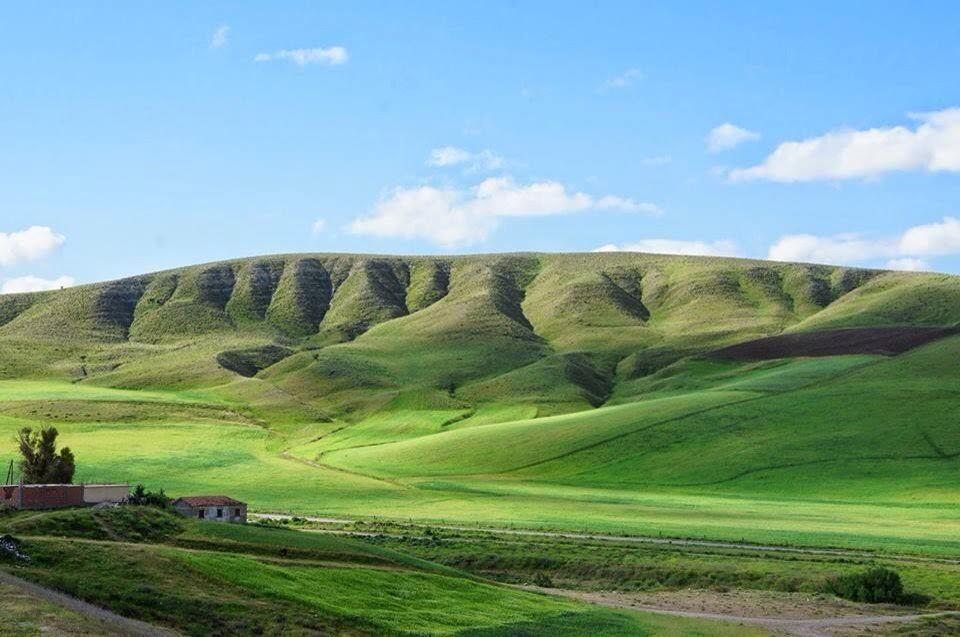 Setif...Connue pour son riche patrimoine archéologique .