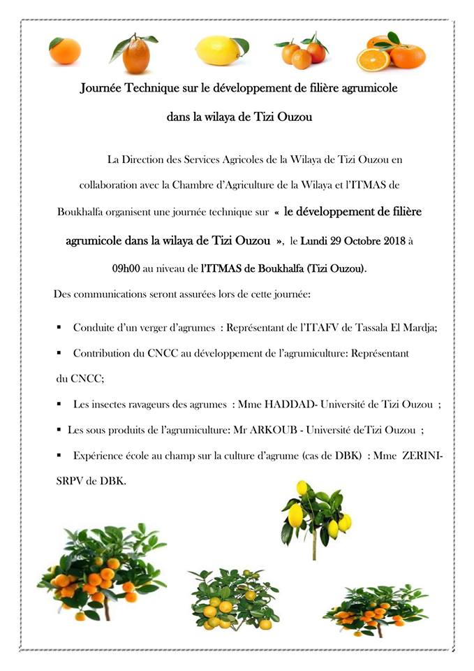 Journée technique sur le développement de filière agrumicole