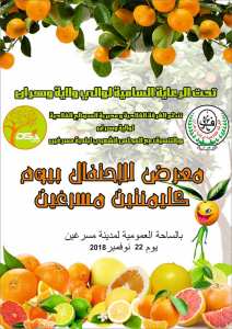 La journée de la clémentine, le 22 novembre 2018, au niveau de la commune de Misserghin