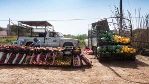 بيع الخضار والفواكه