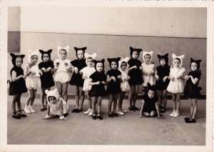 1951 - CP - Laurent fouque