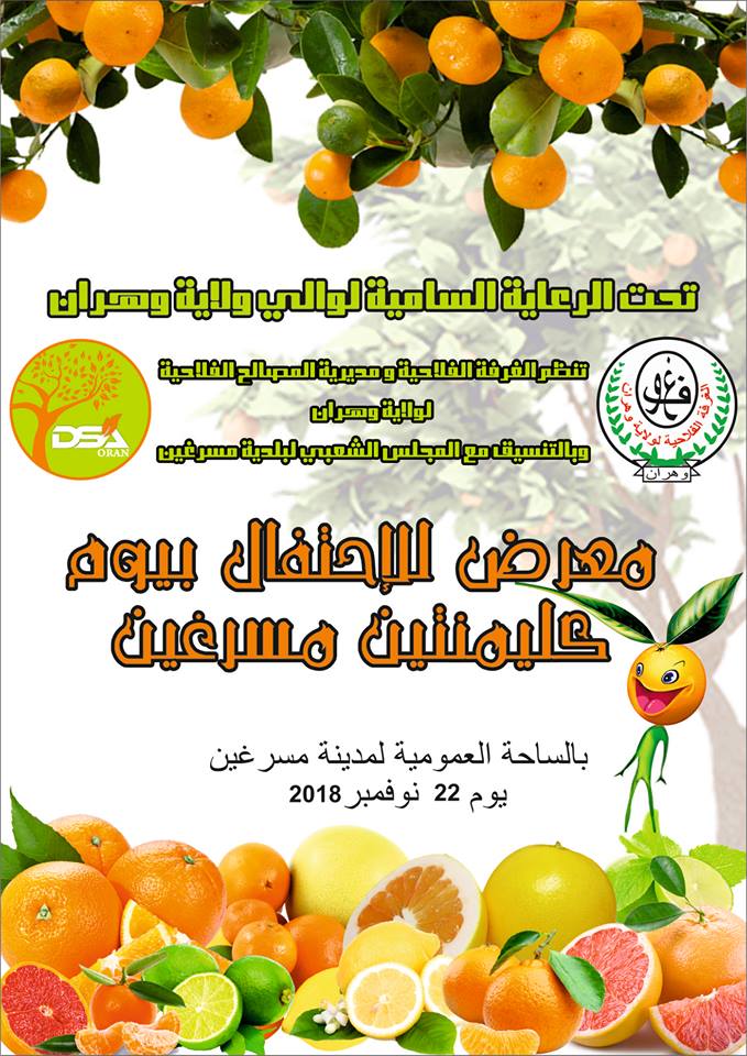 La journée de la clémentine, le 22 novembre 2018, au niveau de la commune de Misserghin