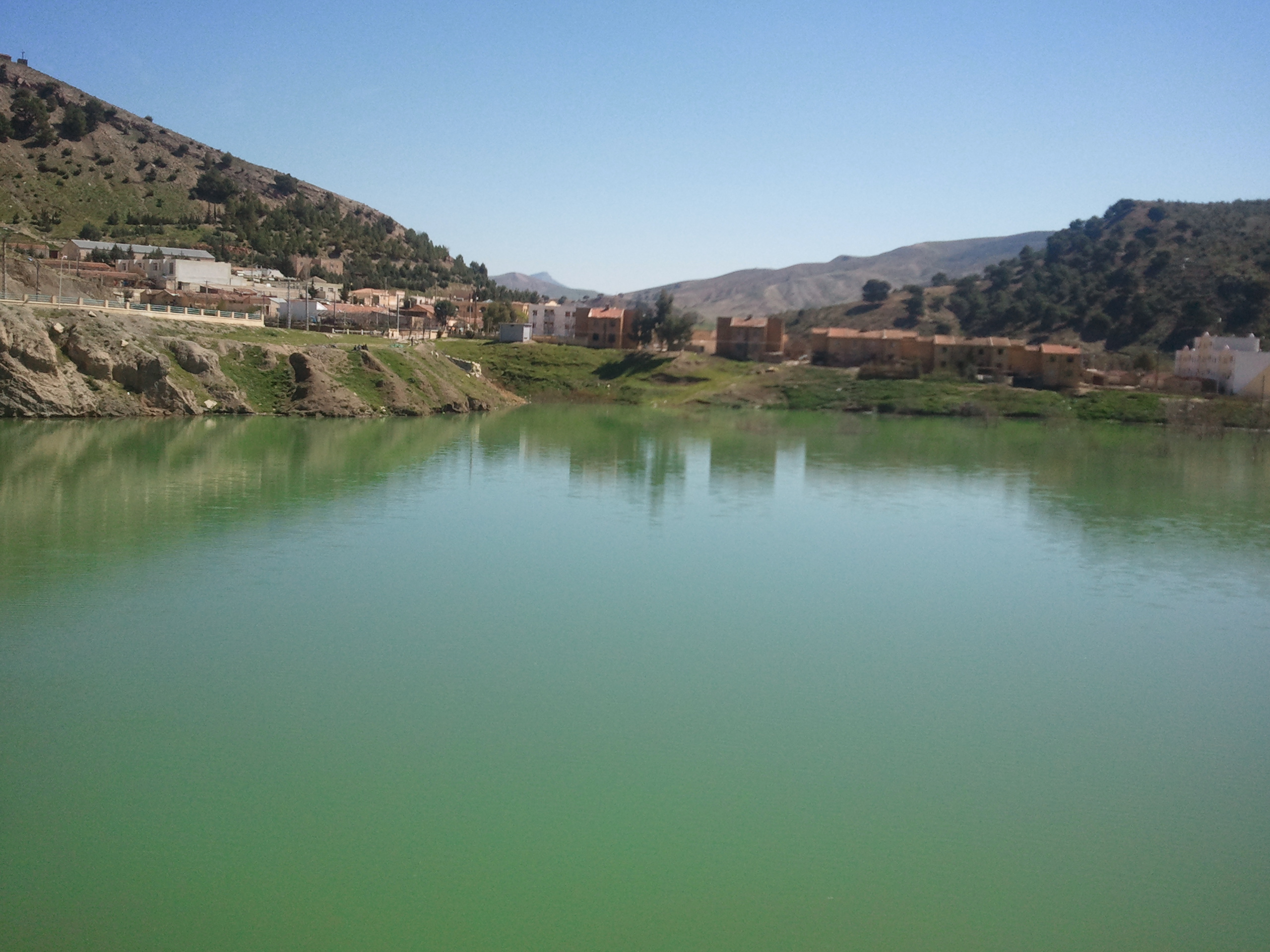 بلادي الغالية