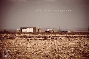 Les bédouins nomades, un mode de vie en voie de disparition dans la région d'El Aricha