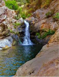 Skikda... ! Rusicada