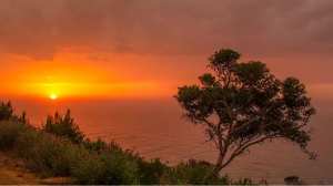 Beni Haoua, Chlef, une côte bien irisée... !