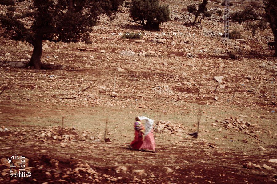 Le village d'Essehb en Tirni et Sebdou, dépourvu de tout depuis toujours