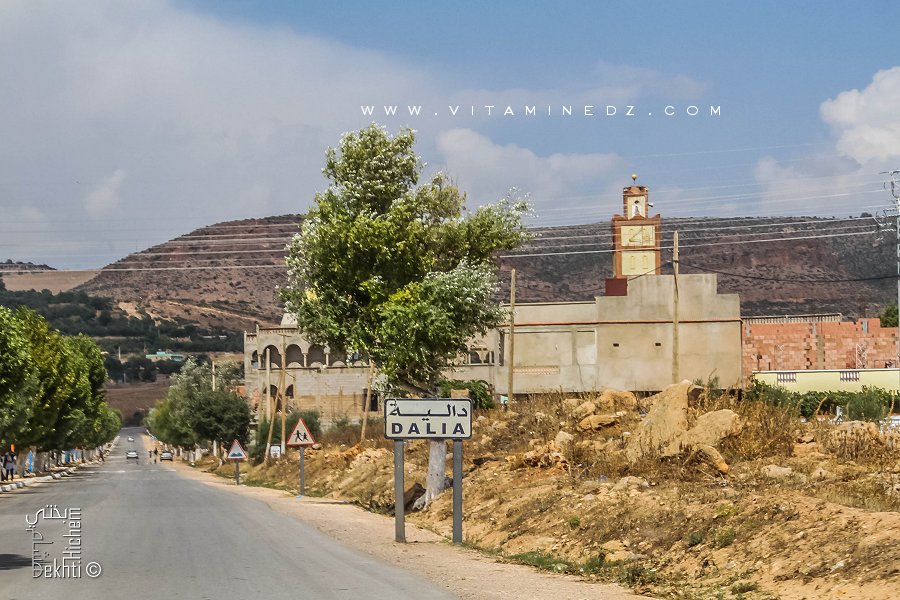 Village Dalia à l'entrée de Sebdou