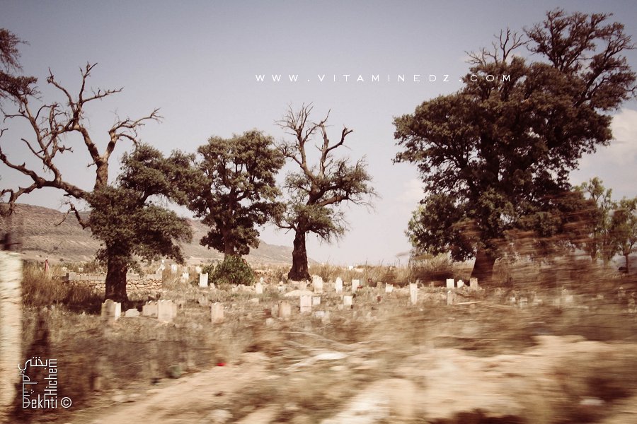 Cimetière du village Dalia