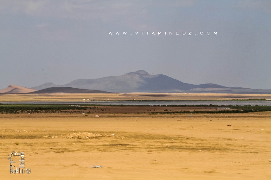 Zone humide de Dayet El Fard (Tlemcen - El Aricha)