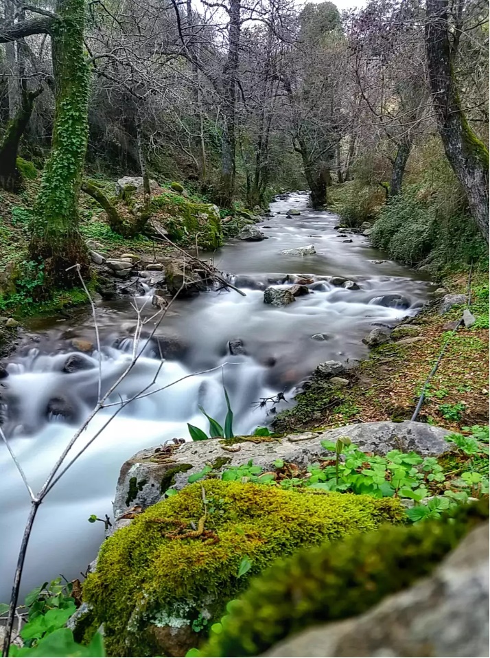 Skikda... ! Rusicada