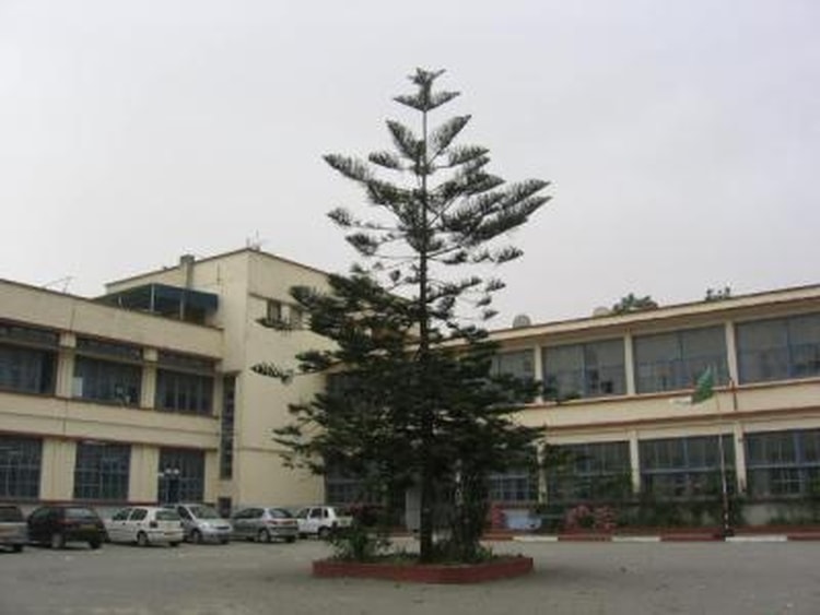 2007 - 3am2 - Collège mohamed chouiter (parc des pins)