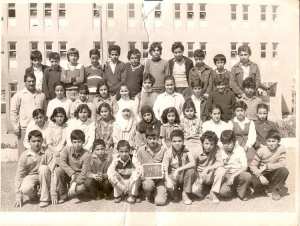 1981 - 1AM B2 - C.e.m nouveau carroubier