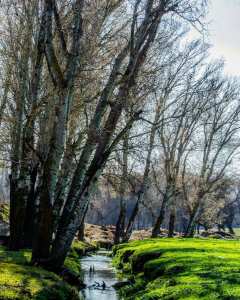Aïn Abessa, Sétif...!