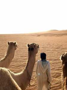 Spécificité architecturale,rouge ocre, perle du Gourara.