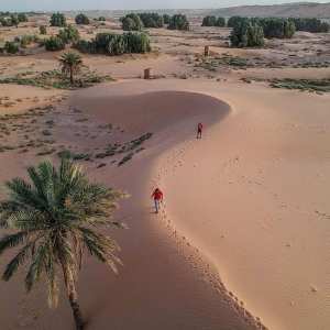 Spécificité architecturale,rouge ocre, perle du Gourara.