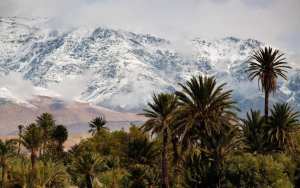 M'chouneche, Biskra... !