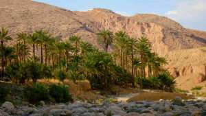 M'chouneche, Biskra... !