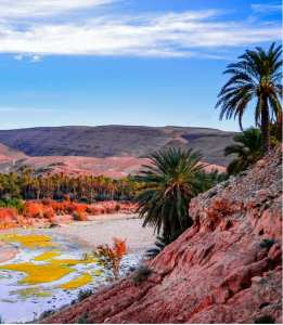 M'chouneche, Biskra... !