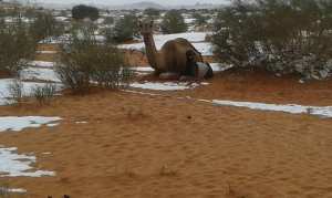Le coup de foudre pour le Sud algérien..!