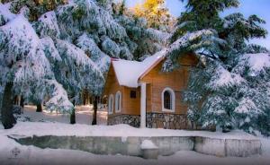 Le Parc national de Chréa ,Blida