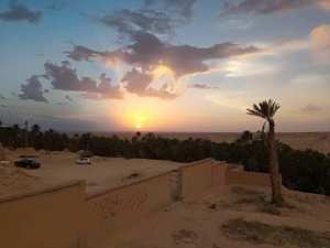 Ksours Negrine de Tébessa : Un patrimoine matériel témoin du génie architectural local.... !