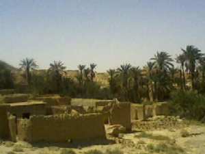 Ksours Negrine de Tébessa : Un patrimoine matériel témoin du génie architectural local.... !