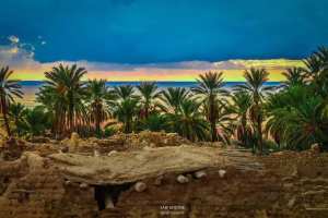 Ksours Negrine de Tébessa : Un patrimoine matériel témoin du génie architectural local.... !