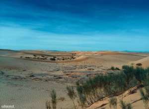 Les steppes Algériennes...!