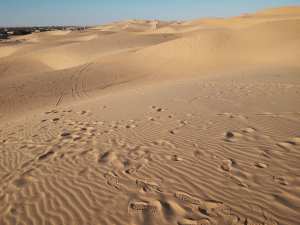 Les Dunes de Sable
