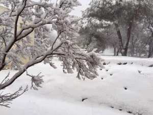 Tala Guilef;  la vallée du sanglier