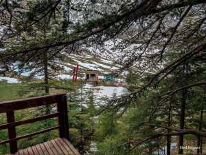 Tala Guilef;  la vallée du sanglier