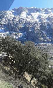 Tala Guilef;  la vallée du sanglier