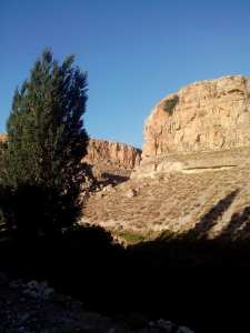 Tébessa: découverte de nouveaux sites archéologiques dans la région de  Bled El-Hadba ... !