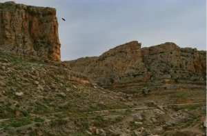 Tébessa: découverte de nouveaux sites archéologiques dans la région de  Bled El-Hadba ... !